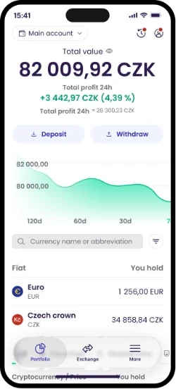 Coinmate app screen: portfolio with total value and a chart