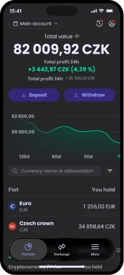 Coinmate app screen: portfolio with total value and a chart